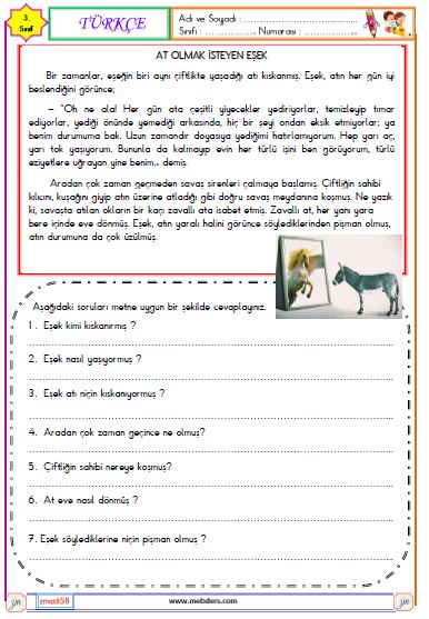 3. Sınıf Türkçe Okuma ve Anlama  Etkinliği ( At Olmak İsteyen Eşek )